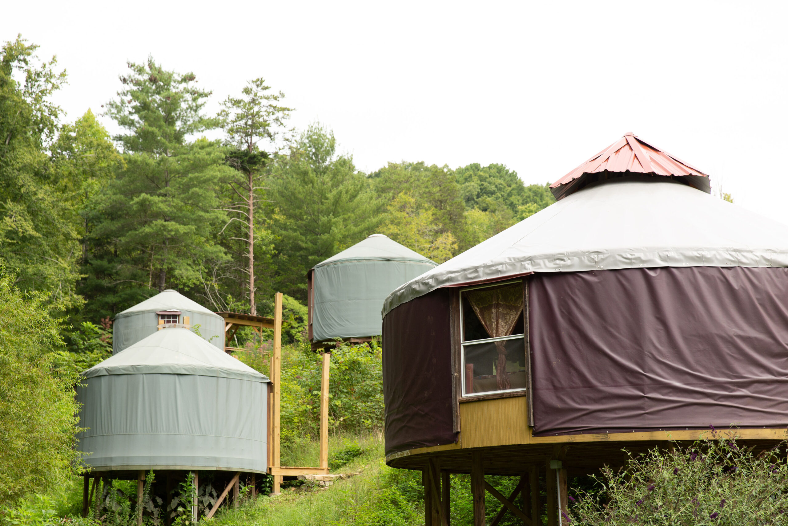 Yoga Retreat with Nicole Gheorghe
