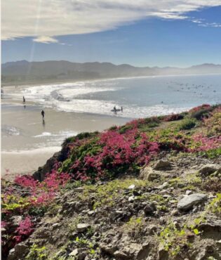 Hike through diverse scenic views from Punta Lobos + chef-prepared beach picnic will be ready upon arrival. (Watch for wild horses!)