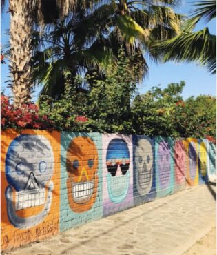 DAY TRIP EXPLORING TODOS SANTOS